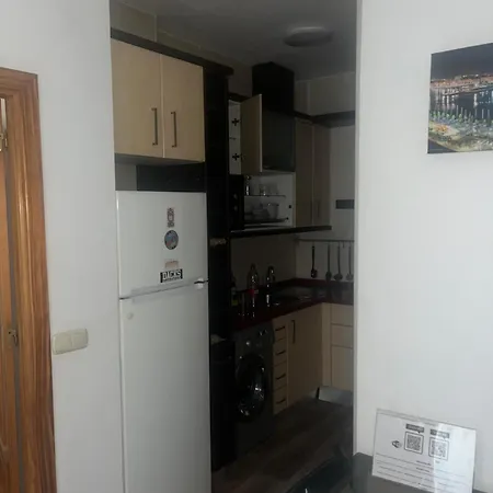 Apartment Centro Malaga